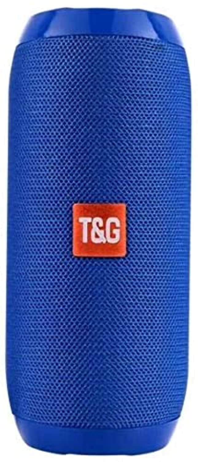 T&G T117 Portable Bluetooth Speaker with Boombox Sound, TF Card Slot, USB, and FM Radio (Blue)