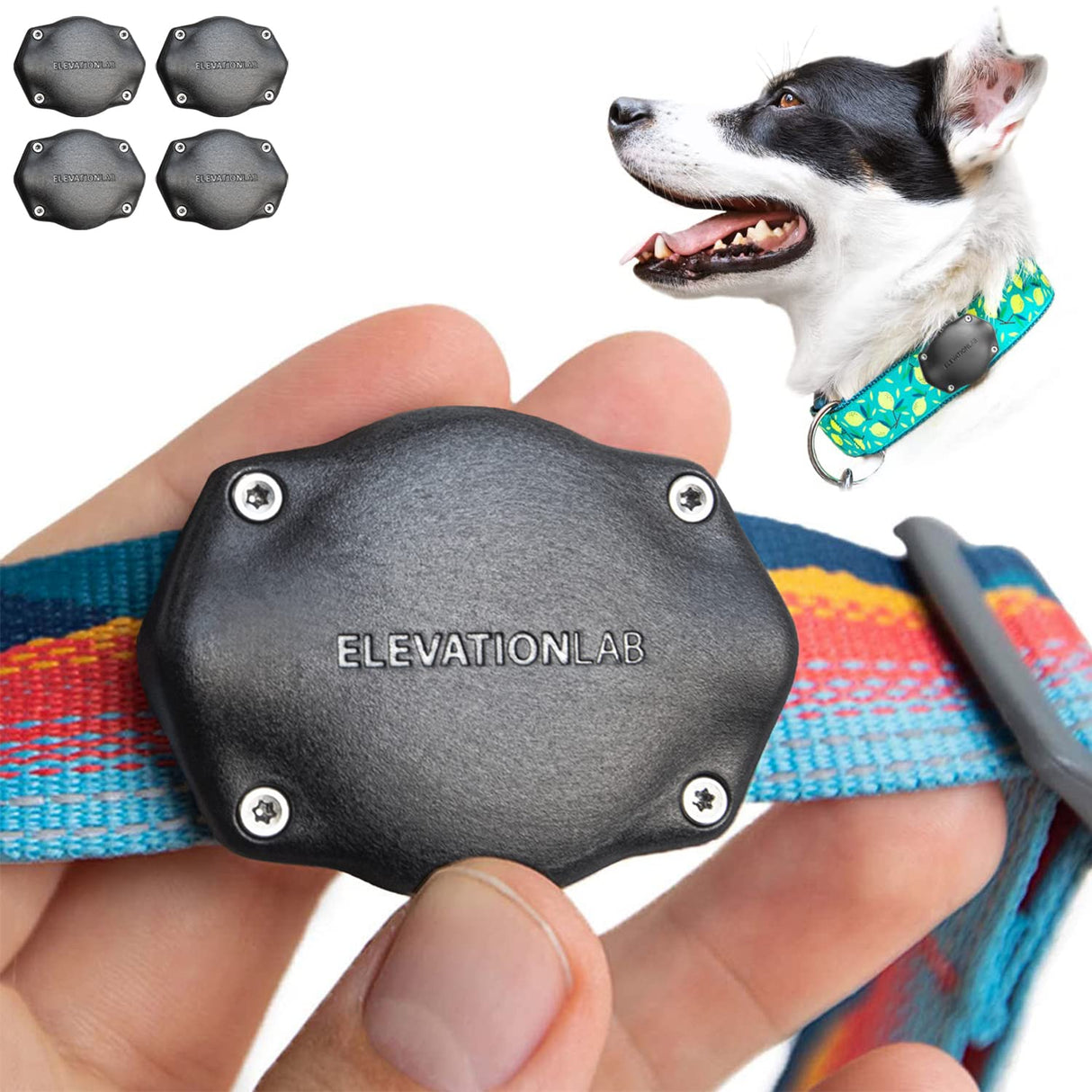 TagVault Pet (4 Pack) - The Most Secure AirTag Dog Collar Mount | IP68 Waterproof, Fits All Width Collars | Elevation Lab
